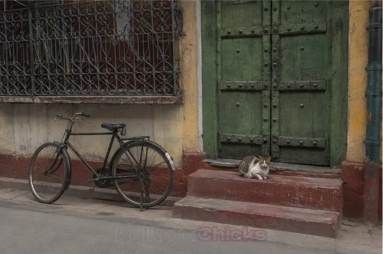 A green wooden door of an old house in North Kolkata, with a cat on the step